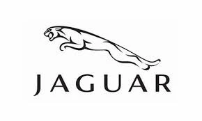 Jagaur