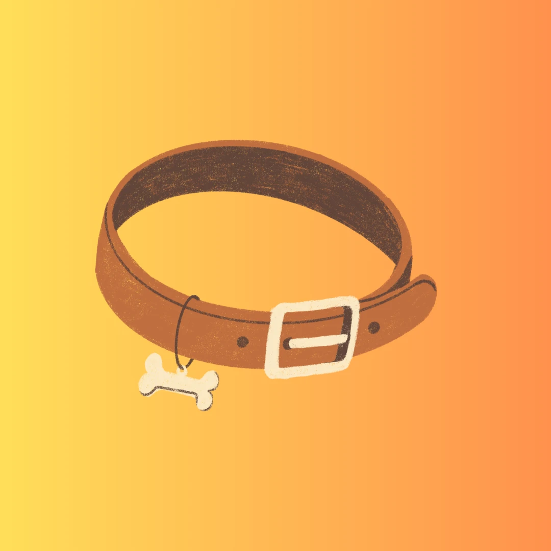 Pet Supplies